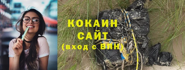 стаф Бородино