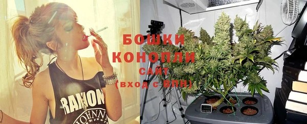 стаф Бородино