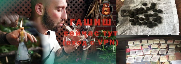 стаф Бородино