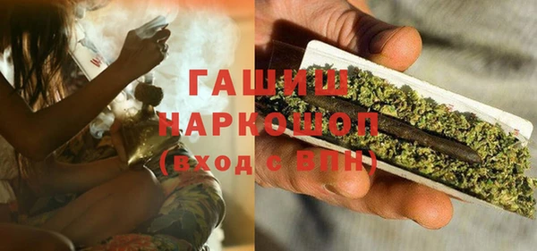 стаф Бородино