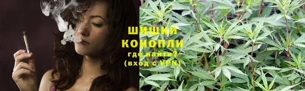 ПСИЛОЦИБИНОВЫЕ ГРИБЫ Пересвет