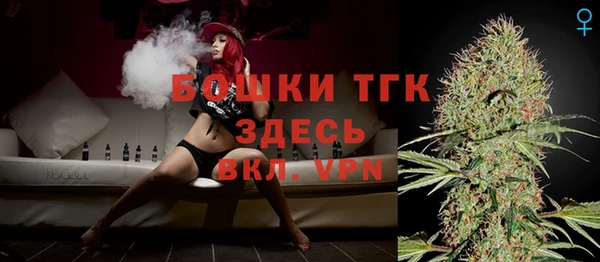 стаф Бородино