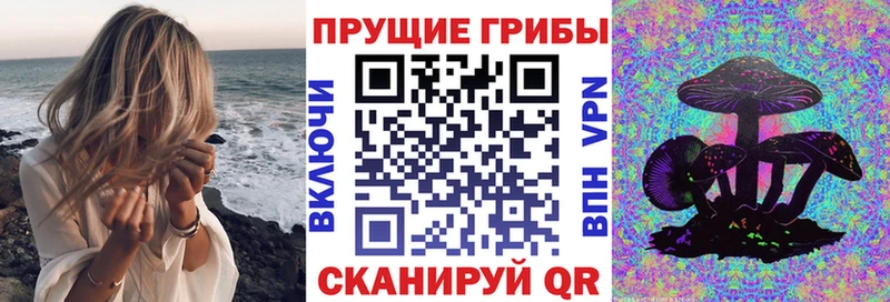 Галлюциногенные грибы ЛСД ссылка на мегу как войти Дмитриев